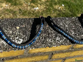 Träns hästutrustning 2 blå pannband - Annons 1