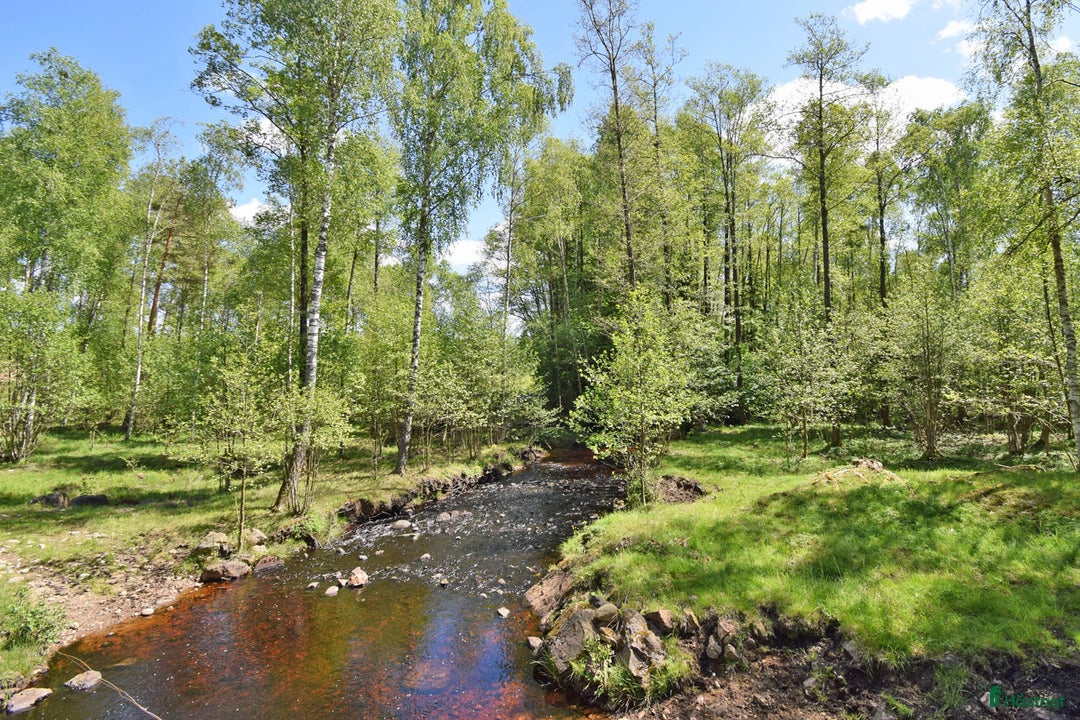  hästgårdar till salu: Genuin skogsgård i Ljungby - Bild 16