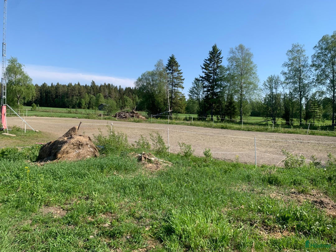  stallplats finnes: Lösdriftsplats Umeå i Umeå - Annons 2