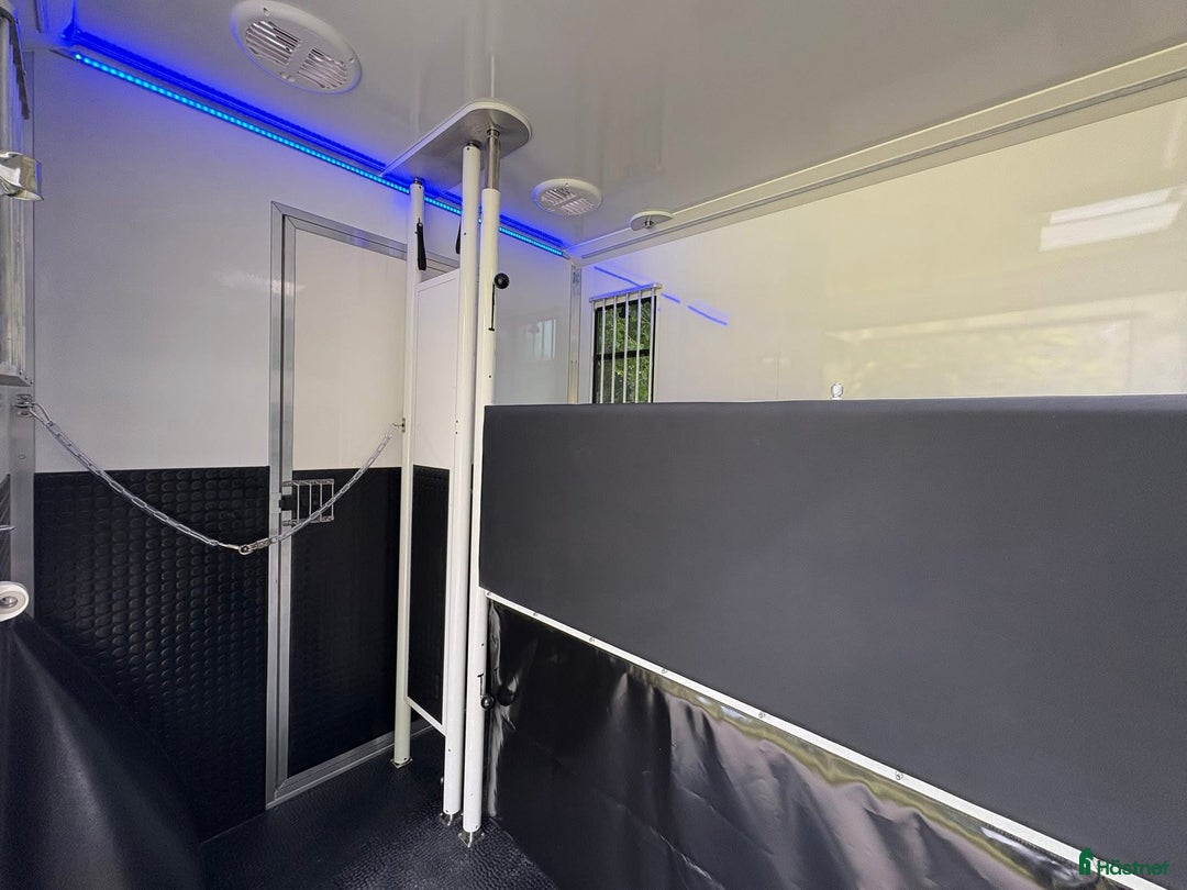 Hästlastbilar  fordon & transport till salu: Lehel 2 hästars classic  i Teckomatorp - Annons 7