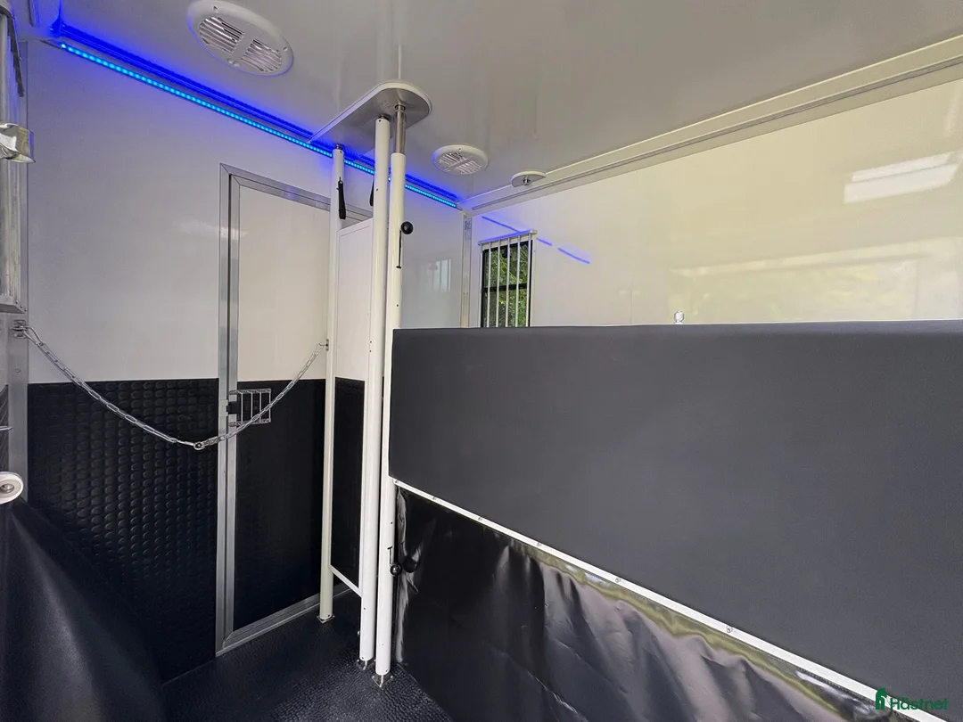 Hästlastbilar  fordon & transport till salu: Lehel 2 hästars classic  i Teckomatorp - Annons 7