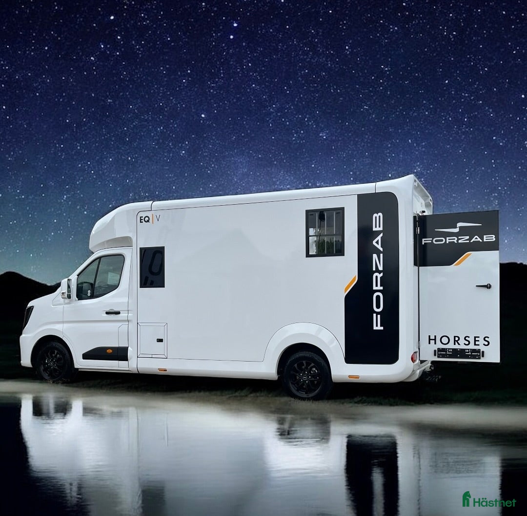Hästlastbilar  fordon & transport till salu: ForzabEQV5 stuteri Nu bjuder vi på skatten i 36mån i Klippan - Annons 2
