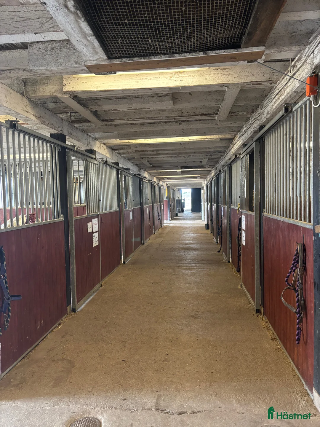  stallplats finnes: Stallplatser med service - Annons 6
