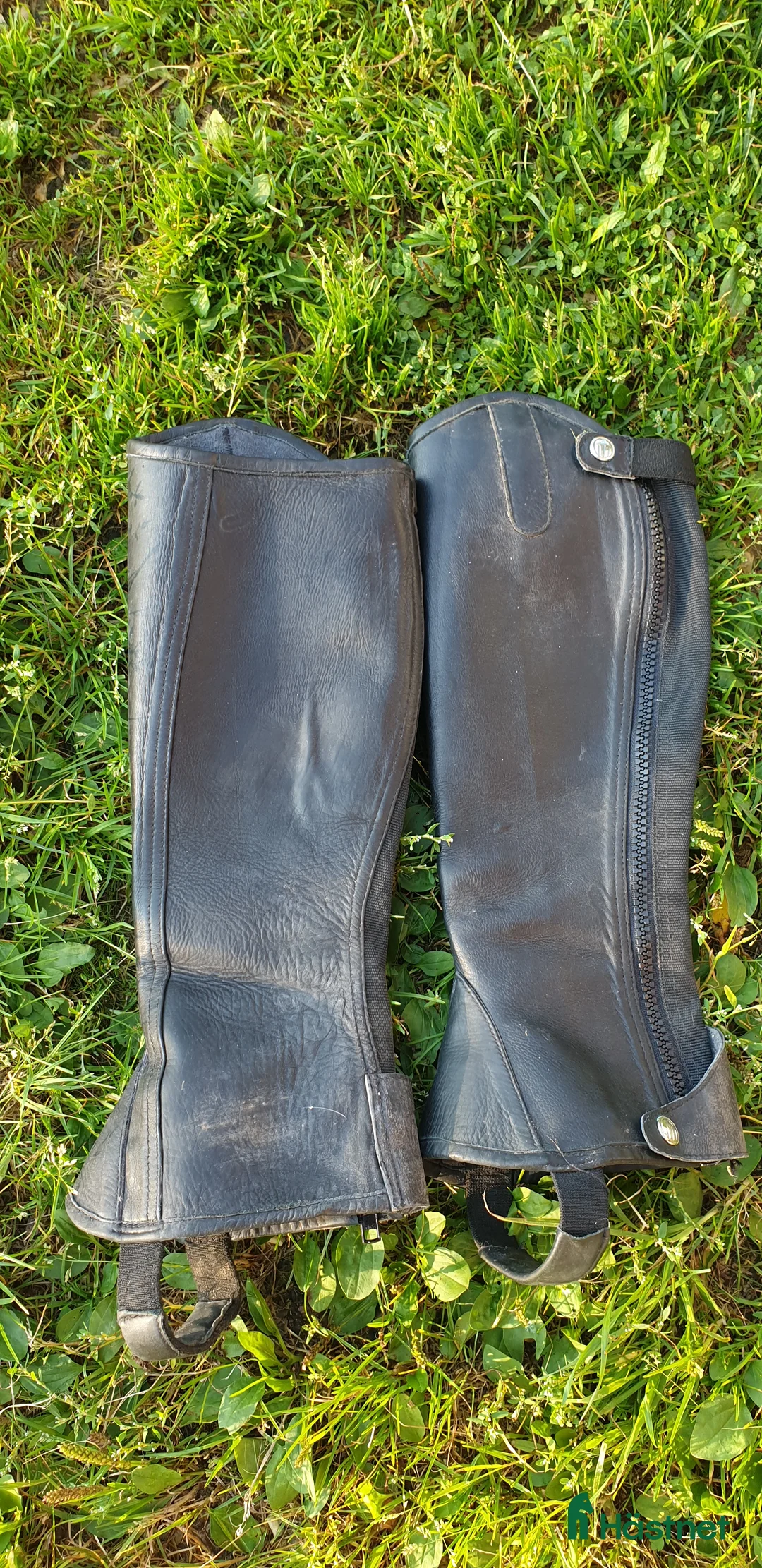 Övrig Hästutrustning hästutrustning till salu: Hästsaker i Skeppshult - Annons 31