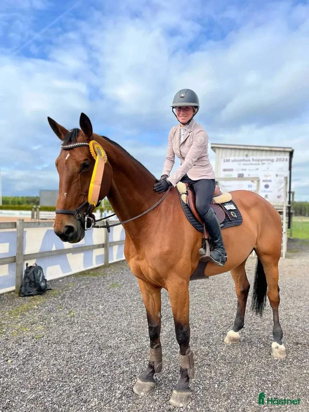 Hoppning hästar till salu: SWB sto (F 2) -08 i Hasslö - Annons 1