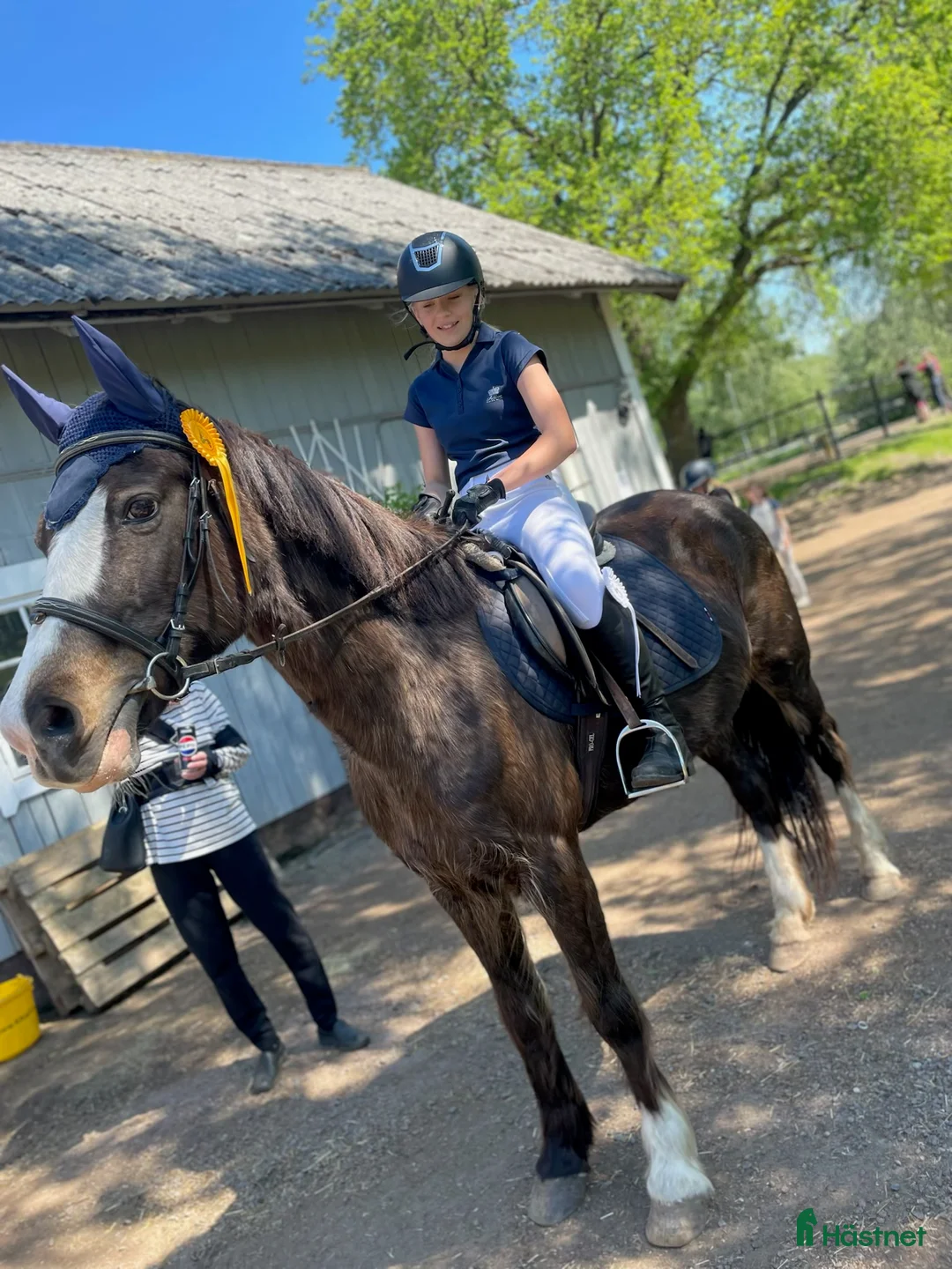 Allround hästar sökes: Nu letar jag efter min bästa vän! i Borensberg - Annons 1