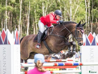 hästservice finnes: Plats för inridning/utbildning/tillridning i Uppsala - Annons 2