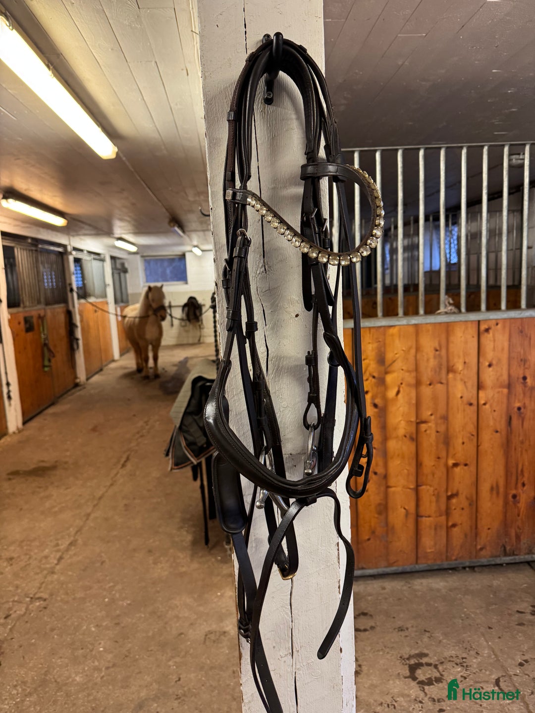 Träns hästutrustning till salu: Träns med PS pannband  i Sandared - Annons 1