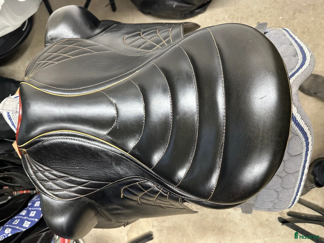 Sadlar hästutrustning till salu: Fin Taur spider i Sala - Annons 2