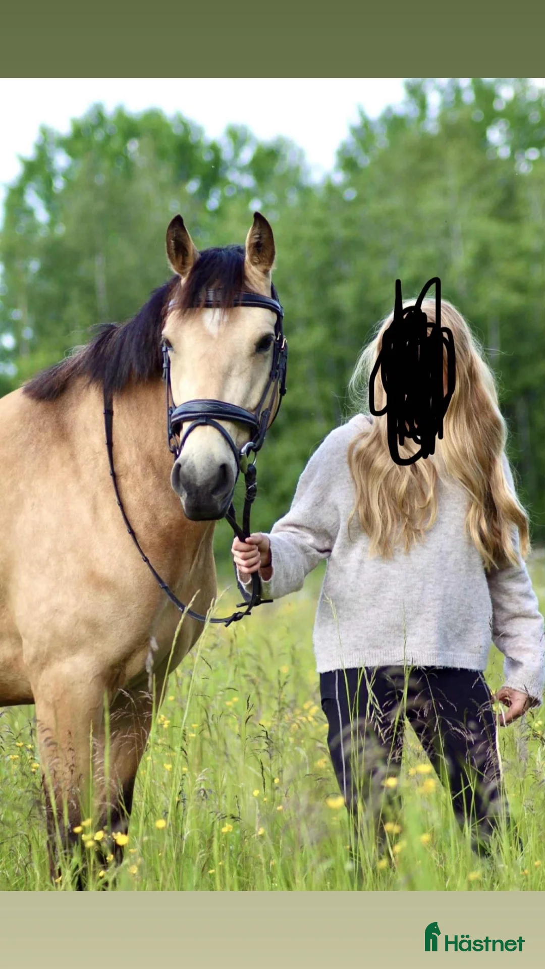 Hoppning hästar till salu: Lovande 5 åring D-Ponny - Annons 3