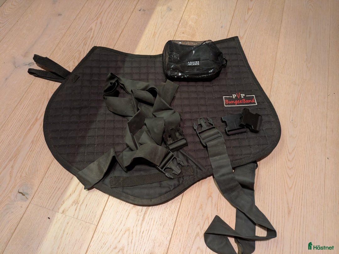 Schabrak & Vojlockar hästutrustning till salu: PvP Bungee Band (motsv Equiband) full i Huddinge - Annons 1