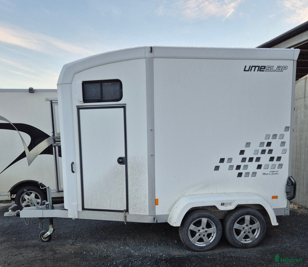 Hästtransporter  fordon & transport till salu: Umesläp B35 i Boden - Annons 1