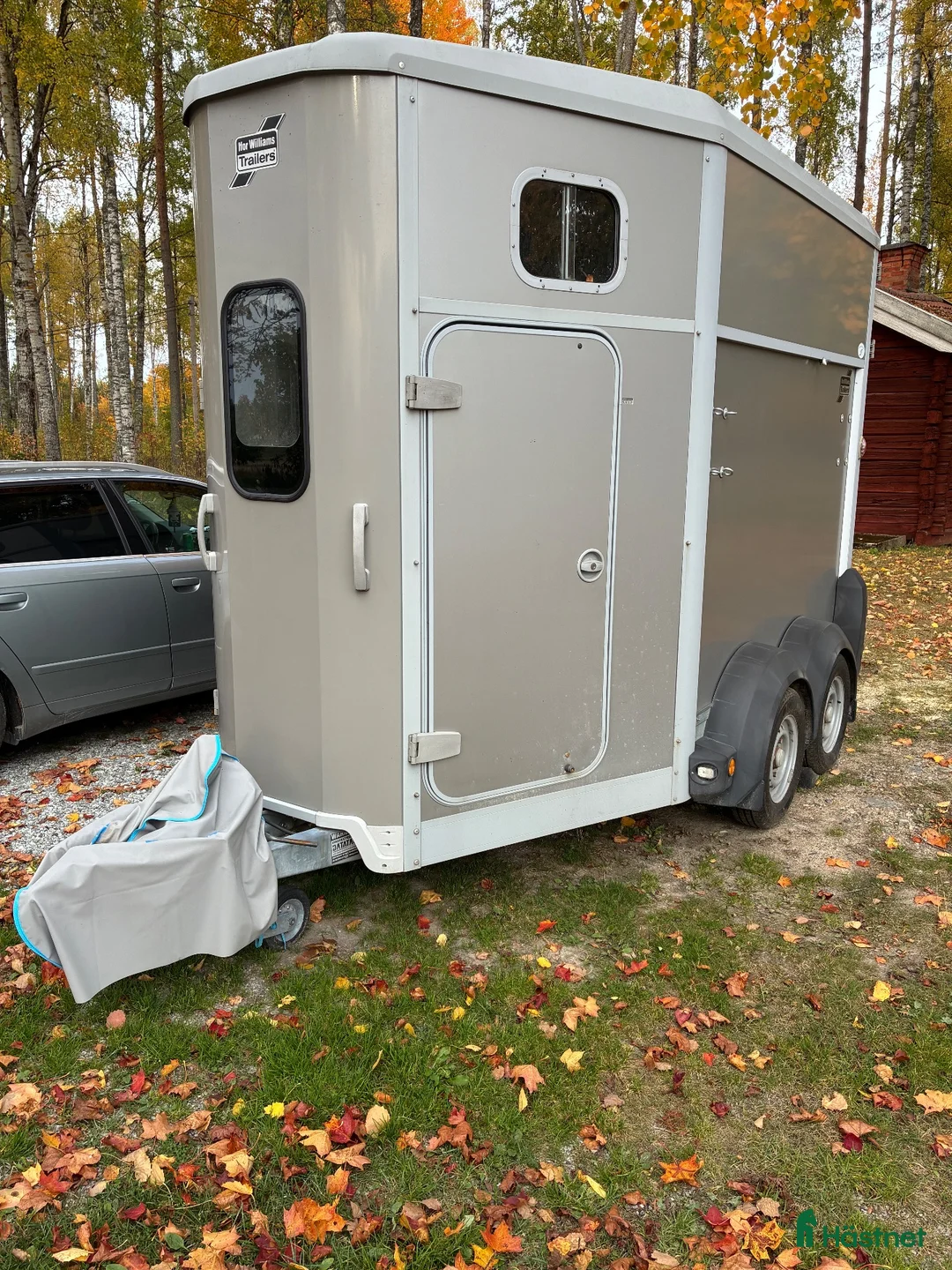 Hästtransporter  fordon & transport till salu: Ifor Williams HB506 2017 - i trafik från 2019 - Annons 1