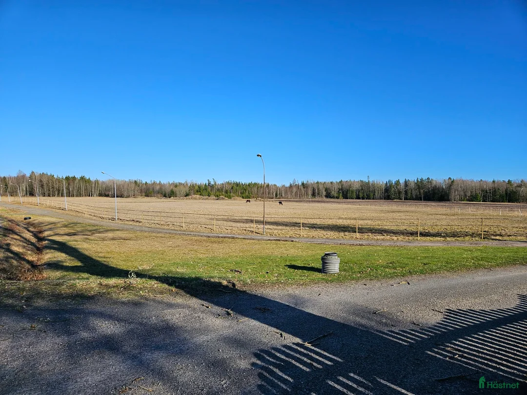  stallplats finnes: Helinackorderingsplats finnes i Frändefors - Annons 3