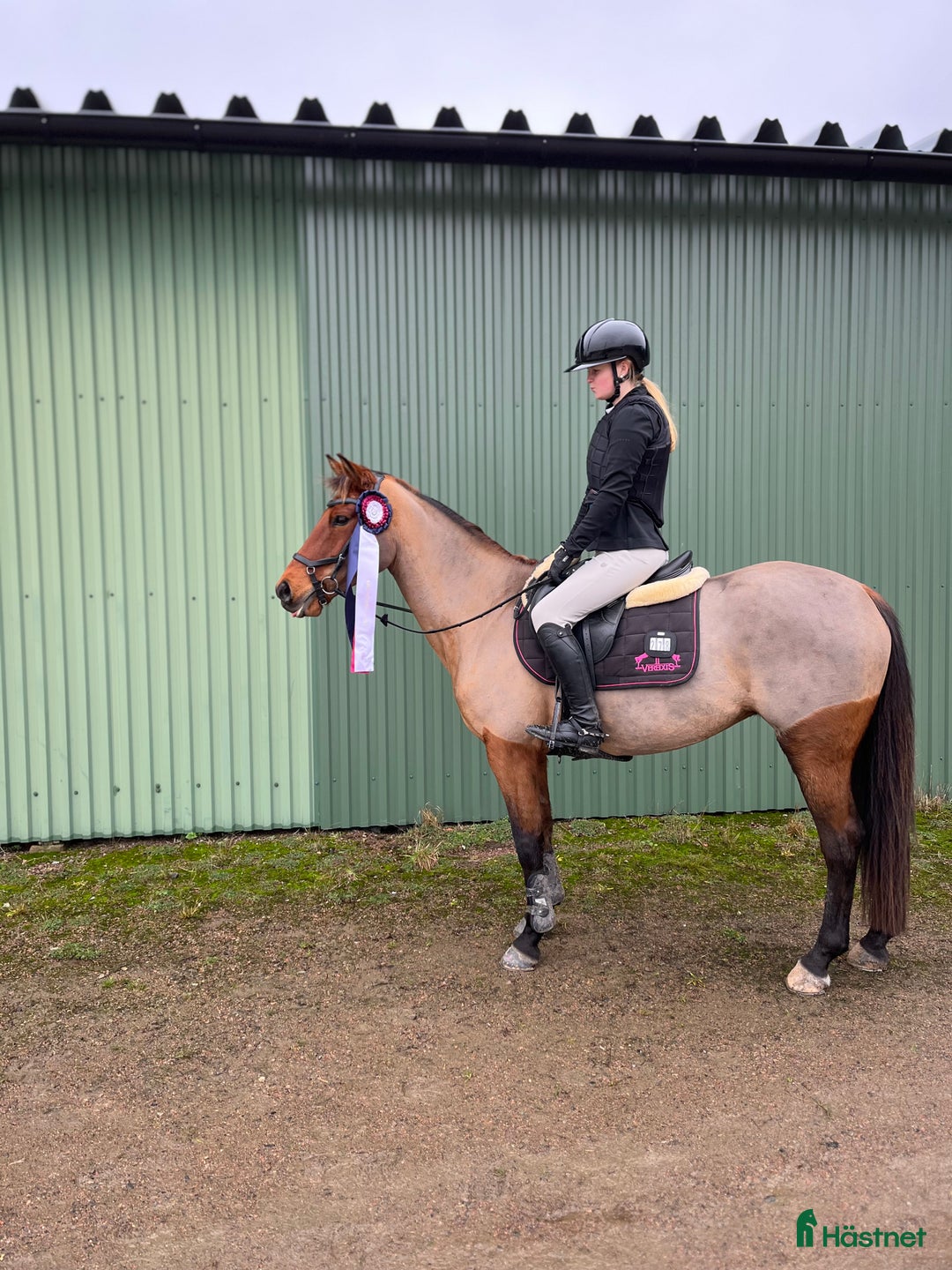 Galleribild {{count}}