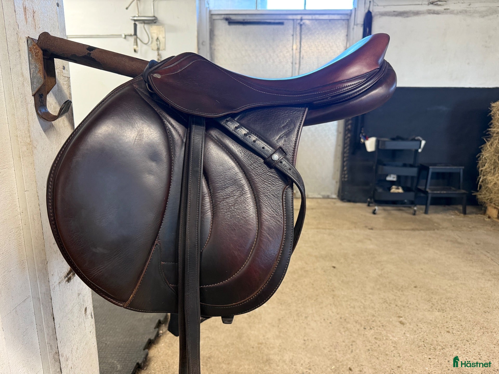Sadlar hästutrustning Antarès Evolution 17,5" – 2022 - Annons 16