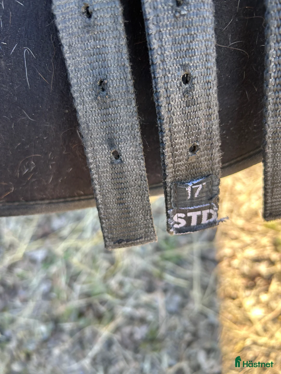 Sadlar hästutrustning till salu: Hi-Lite Elite - Annons 3