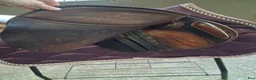 Sadlar hästutrustning till salu: Santa Cruz Celine 16" - Annons 4