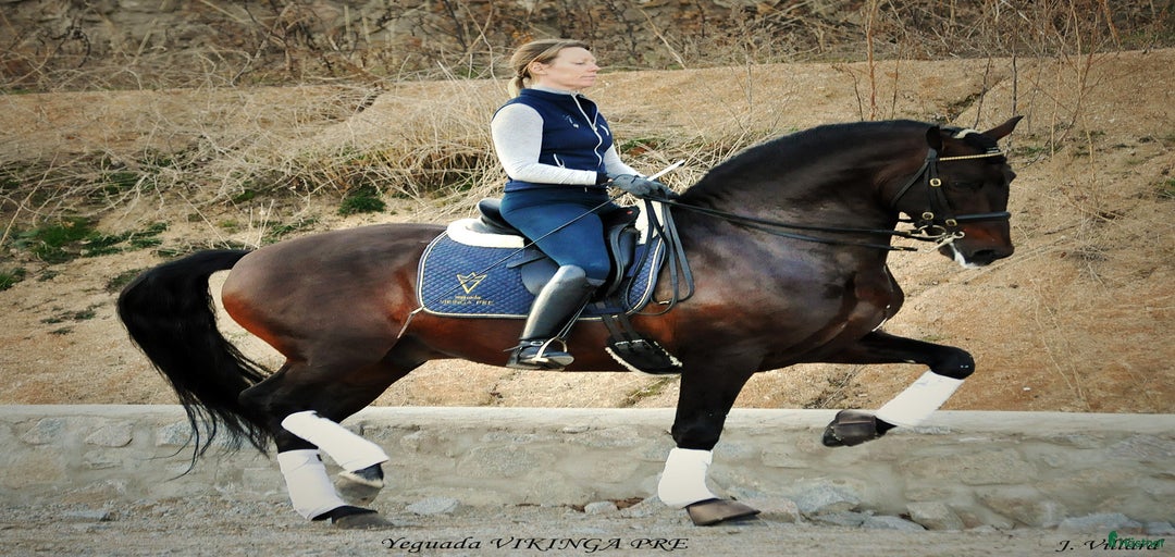 Galleribild {{count}}