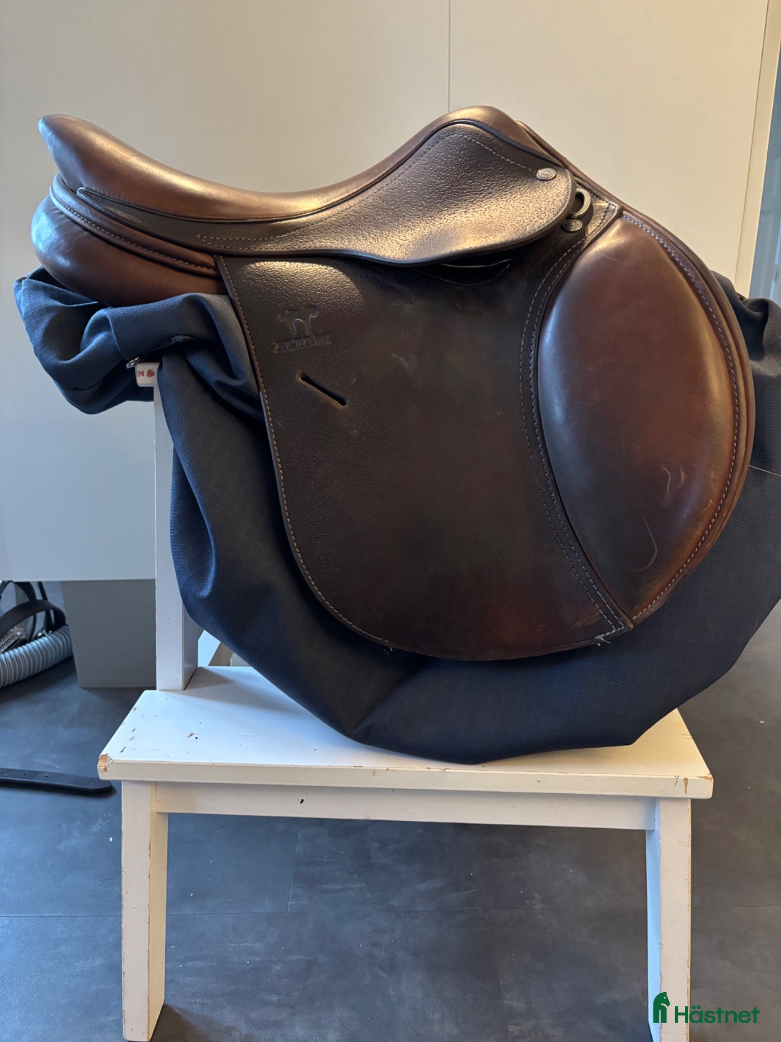 Sadlar hästutrustning Antares 15,5” - Annons 3