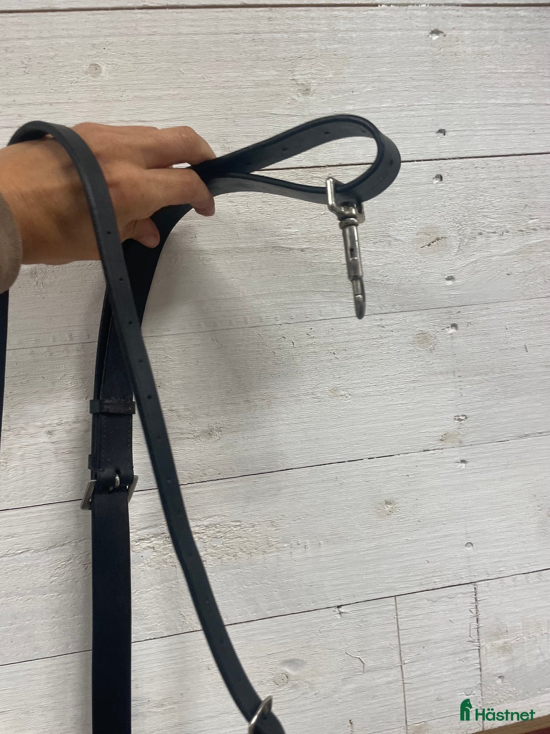 Övrig Hästutrustning hästutrustning till salu: Martingall i Lekeryd - Annons 2