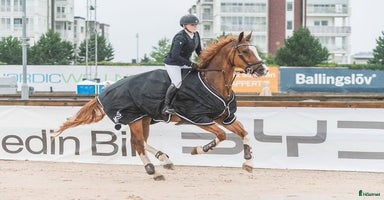  hästar i Hindås - Annons 4