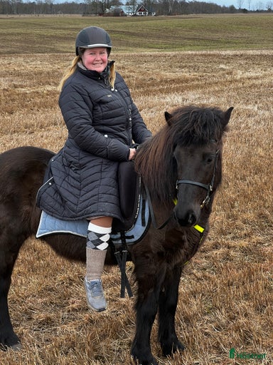 Galleribild {{count}}