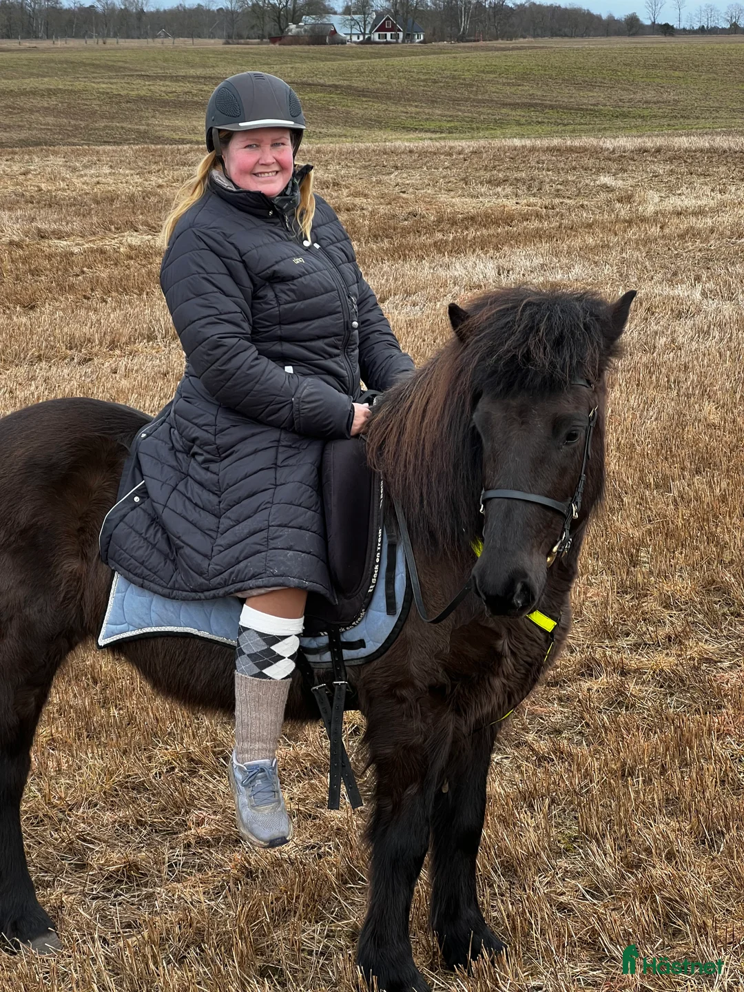 Galleribild {{count}}