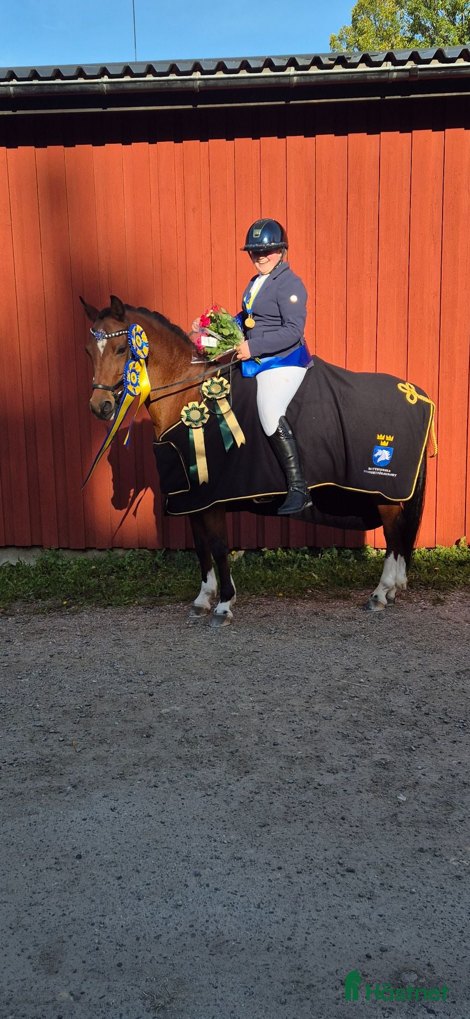  hästar Fantastisk ponny med utstrålning  - Annons 1