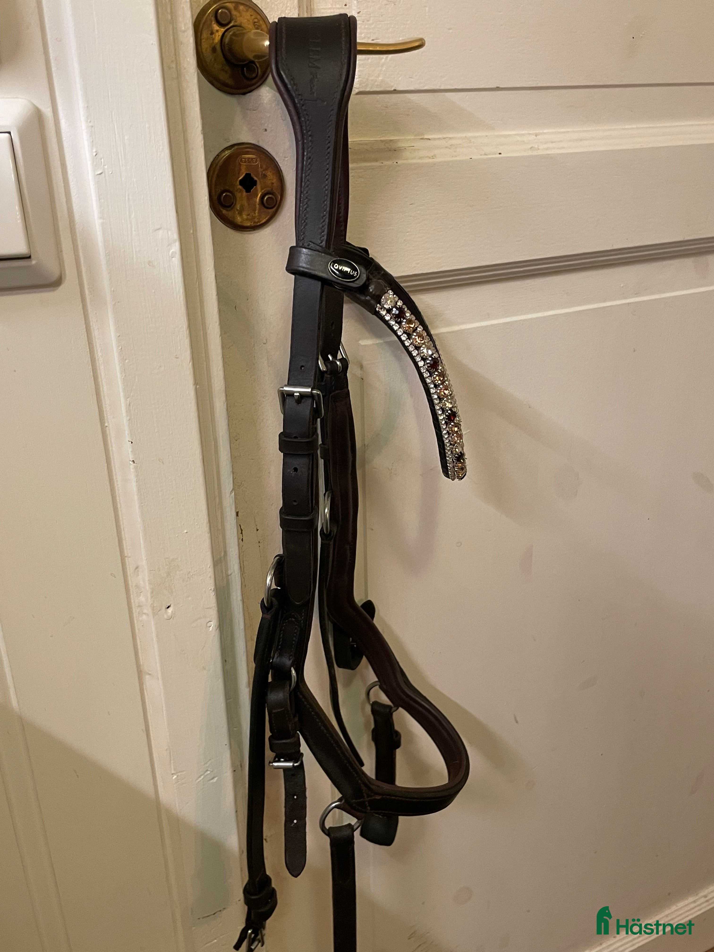 Träns hästutrustning till salu: Brunt Micklem i Falun - Annons 1