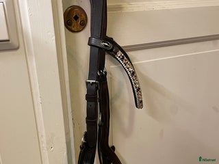 Träns hästutrustning till salu: Brunt Micklem i Falun - Annons 1