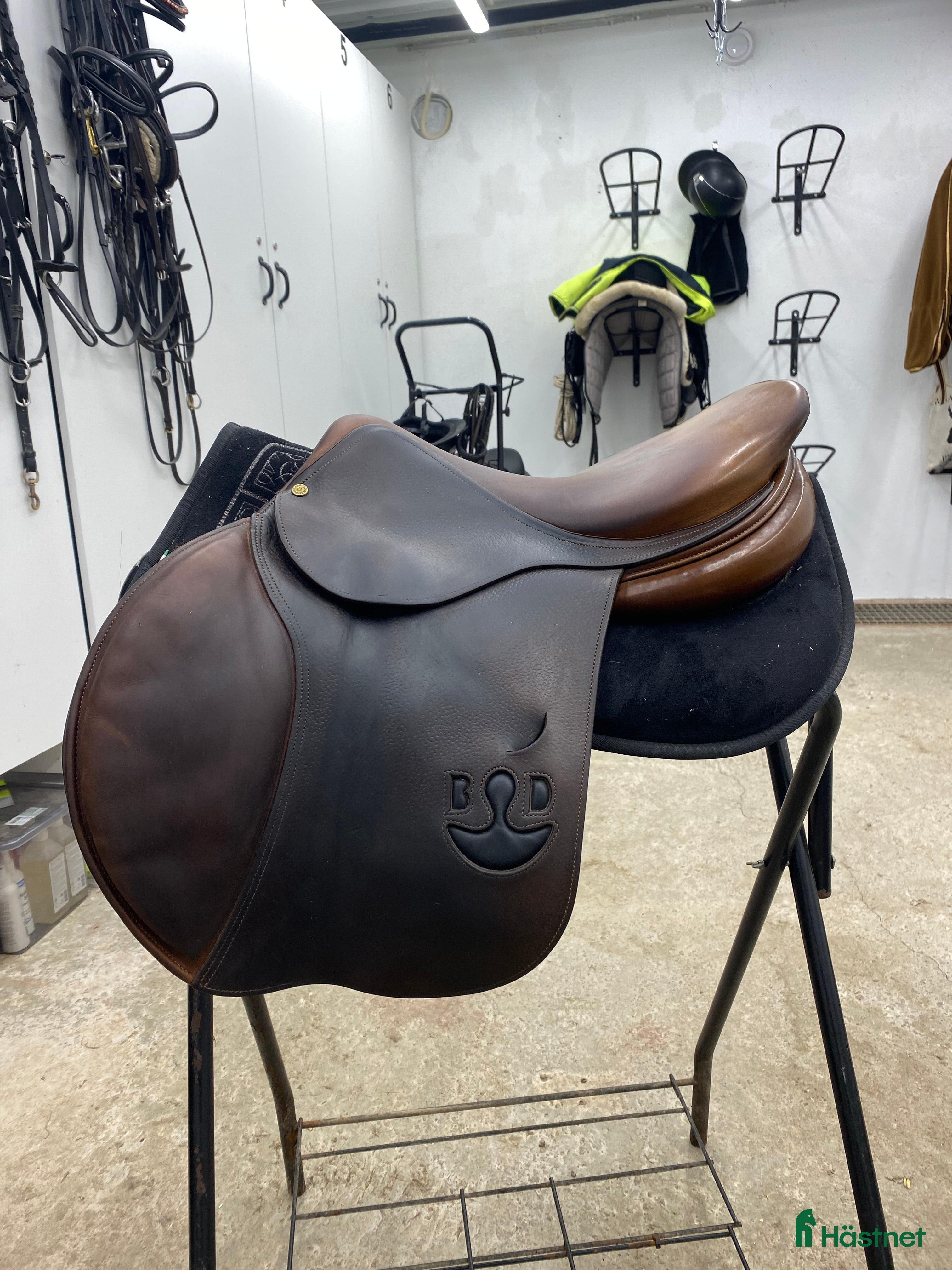Sadlar hästutrustning Bruno Delgrange  i Krylbo - Annons 6