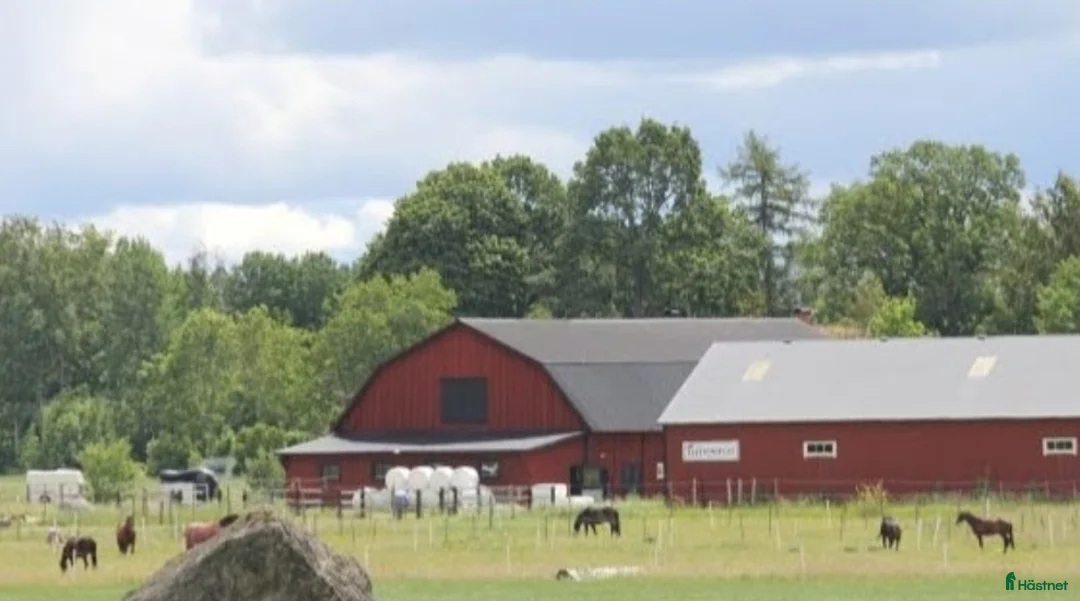  stallplats finnes: Välkommen 🐎🌸 i Ärla - Annons 2