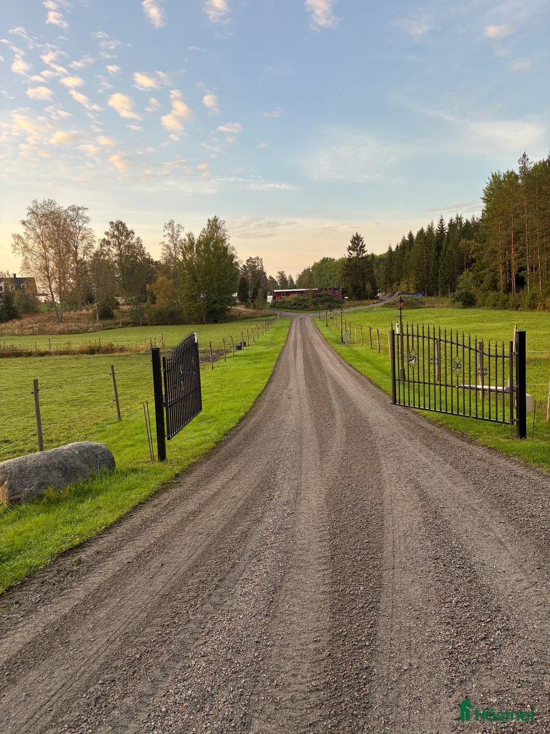 stallplats finnes: Boxplats med lång utevistelse - Annons 1