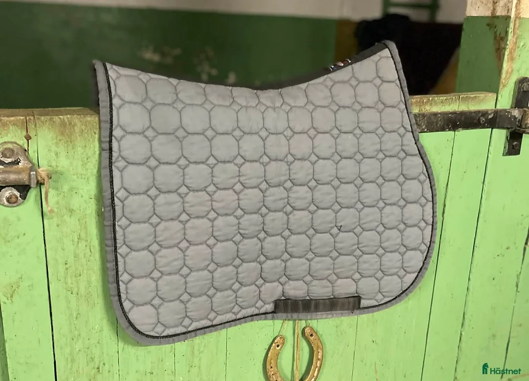 Schabrak & Vojlockar hästutrustning till salu: Equiline , Kingsland , Lippo  - Annons 2