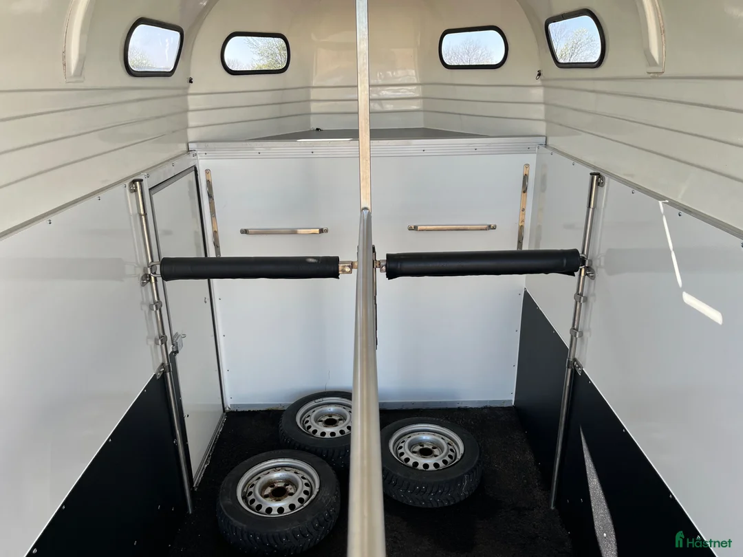 Hästtransporter  fordon & transport till salu: Forzab Cavallo/Futuro SEH20 - Annons 8