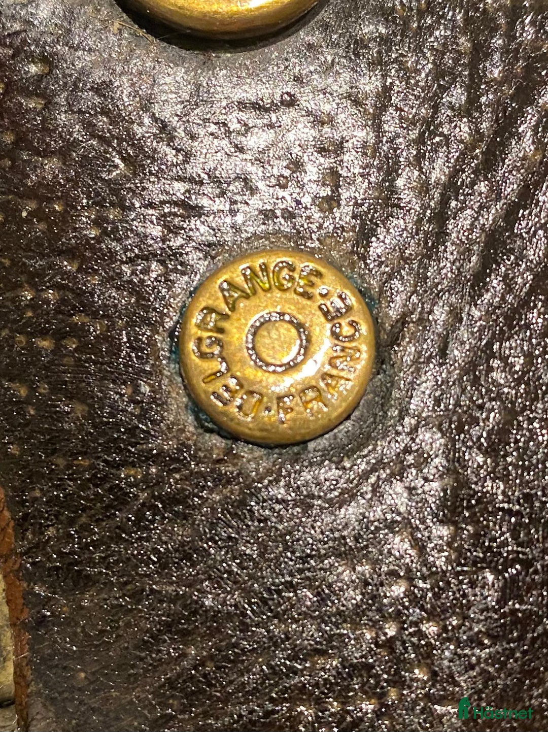 Sadlar hästutrustning till salu: Bruno Delgrange Partition i Mosby - Annons 7