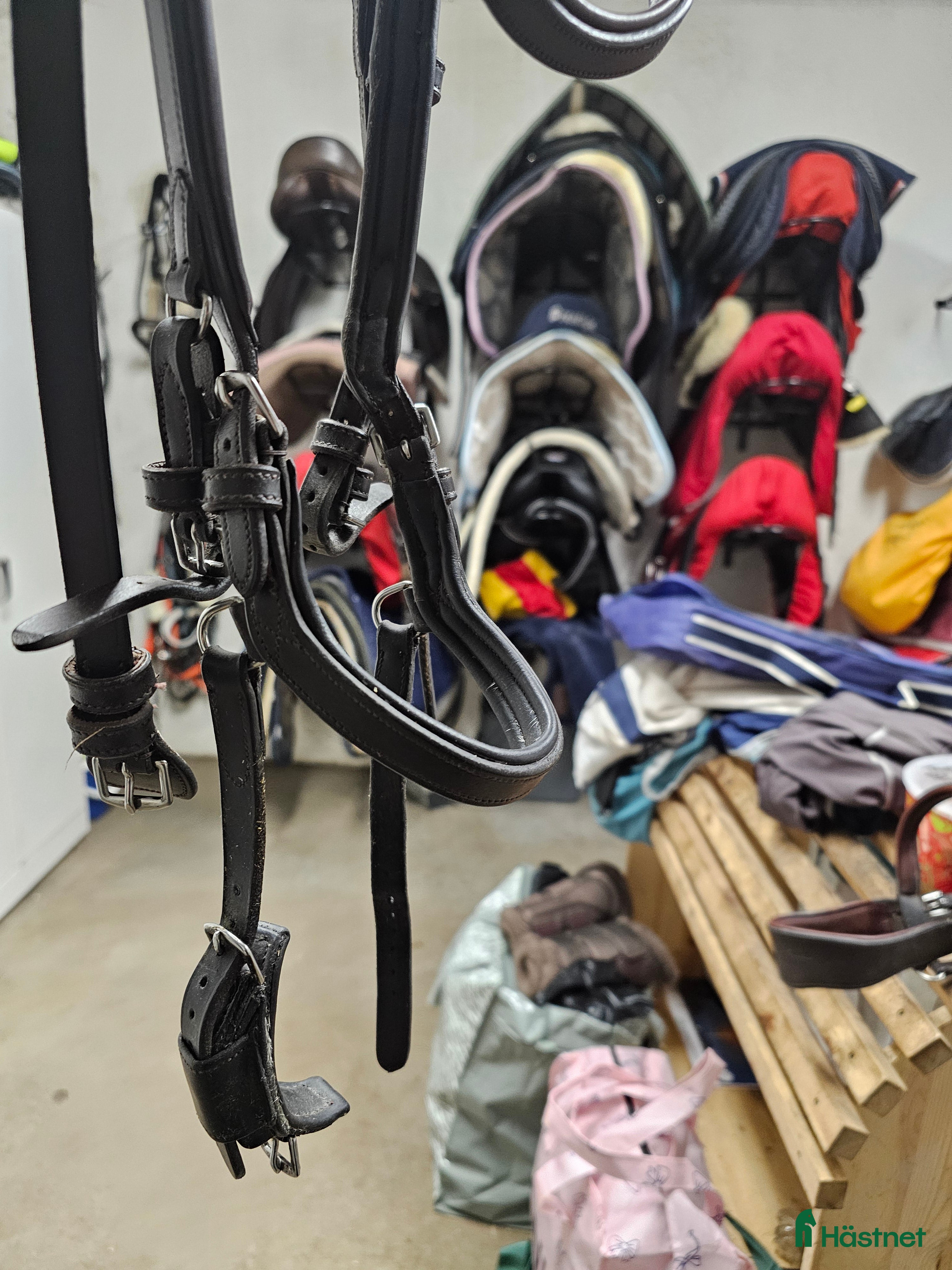 Träns hästutrustning till salu: Fint begagnat King Edward träns i brunt i Harplinge - Annons 16