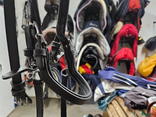 Träns hästutrustning till salu: Fint begagnat King Edward träns i brunt i Harplinge - Annons 9