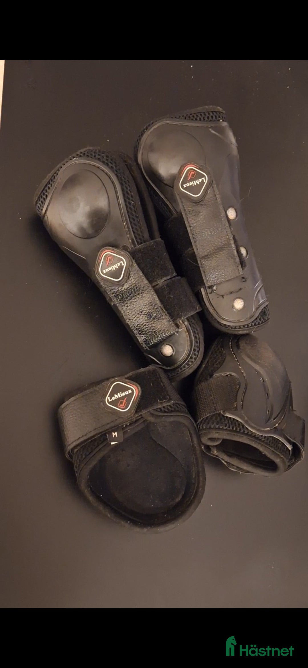 Benskydd hästutrustning till salu: Le Mieux benskydd 4 st M i Norrköping - Annons 2