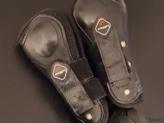 Benskydd hästutrustning till salu: Le Mieux benskydd 4 st M i Norrköping - Annons 2