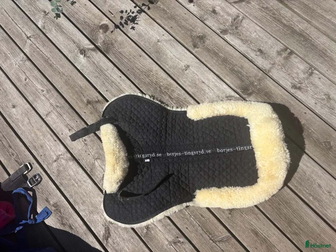 Sadeltillbehör hästutrustning till salu: Fårskinnspadd - Annons 1