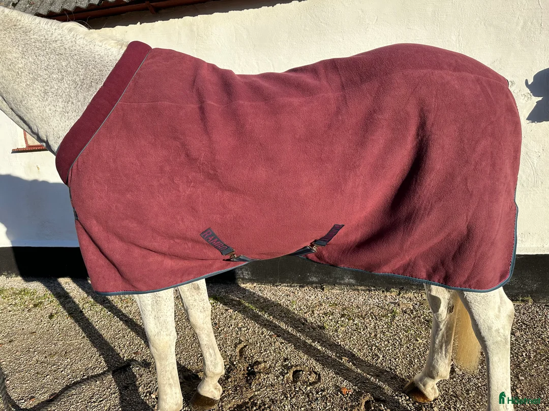 Täcken hästutrustning till salu: Rambo cosy fleece 145 i Svalöv - Annons 1