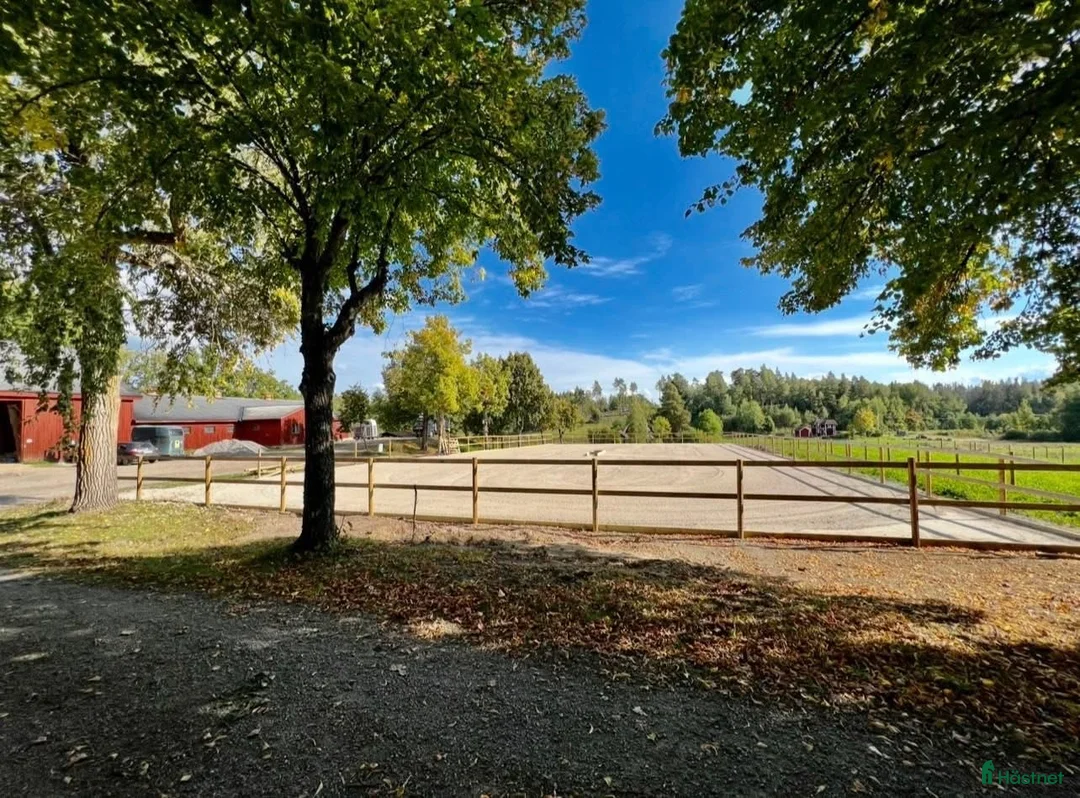  stallplats finnes: Hästanläggning + Bostadshus uthyres - Annons 1