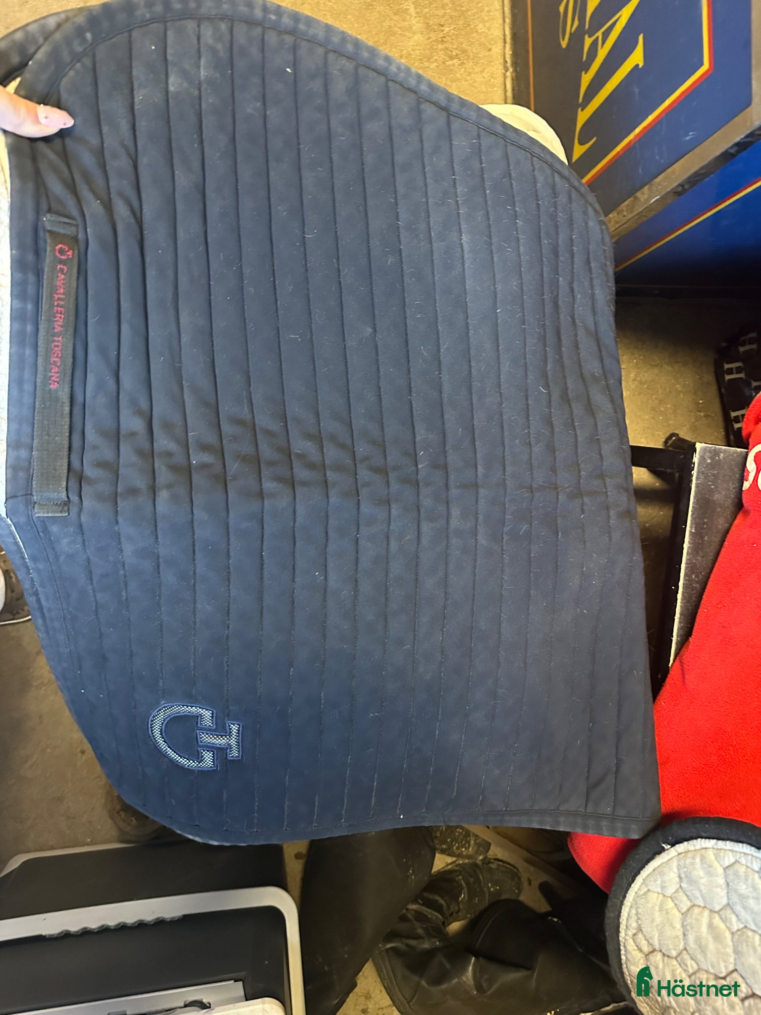 Schabrak & Vojlockar hästutrustning CT schabrak  - Annons 22