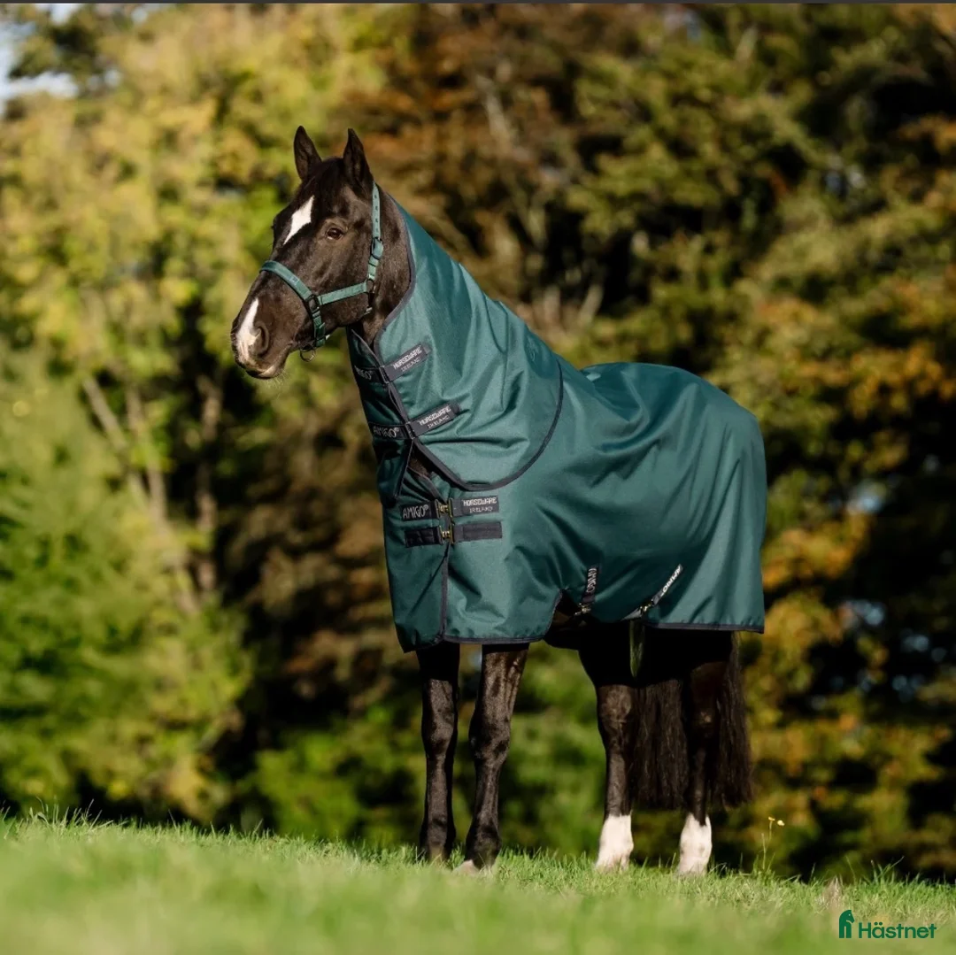 Täcken hästutrustning till salu: Horseware Amigo 200g, storlek 160 cm. - Annons 1