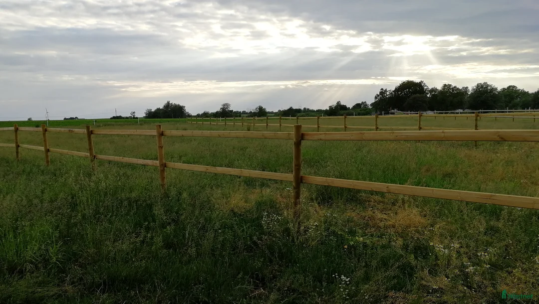  stallplats finnes: Boxplats med ridhus  - Annons 2