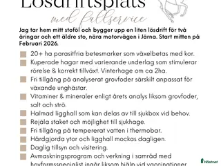 stallplats 🌟 Lösdriftsplats med lyxig fullservice 🌟 - Annons 6