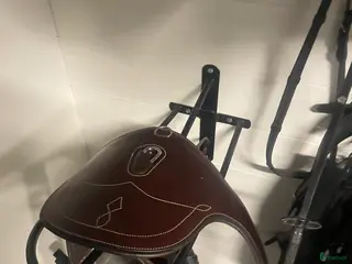 Sadeltillbehör hästutrustning Swedish Collection Magplatta - Annons 22