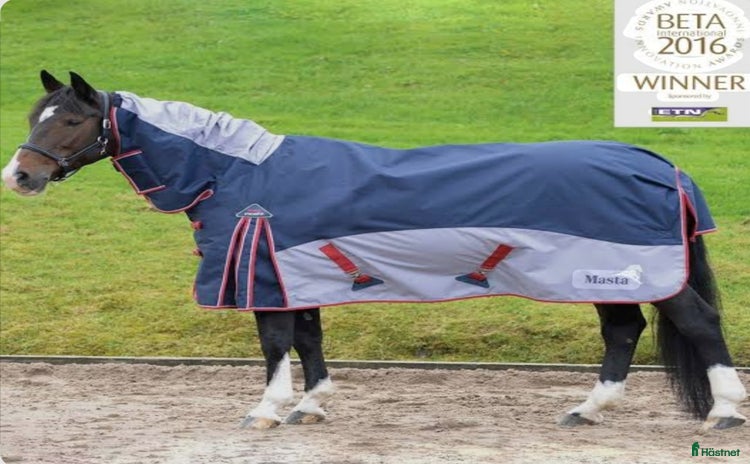 Täcken hästutrustning till salu i Järna - Annons 16